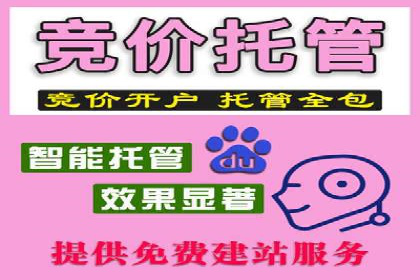 某电商平台的SEM推广策略及效果分析